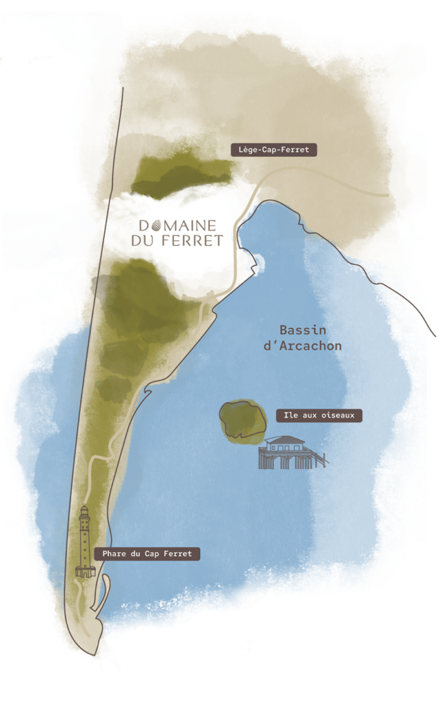 Domaine du Ferret • Résidence Hôtelière, Balnéo & Spa • Cap Ferret - Carte