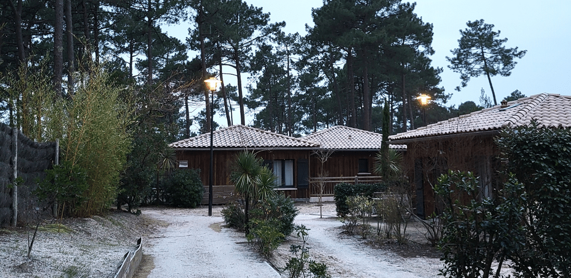 Le Domaine du Ferret sous la neige - Domaine du Ferret - Lège-cap-ferret