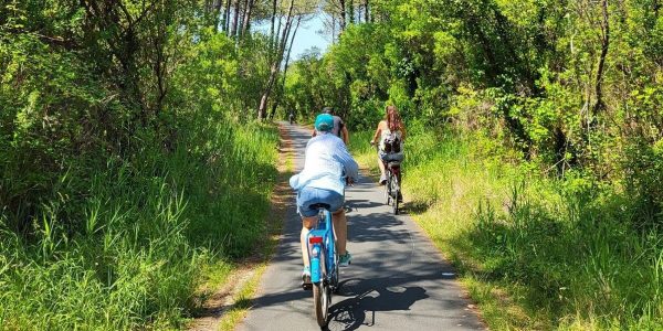 Balade à vélo - Domaine du Ferret - Claouey